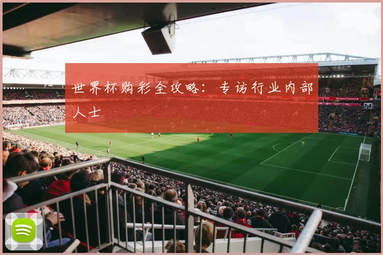 世界杯购彩全攻略：专访行业内部人士