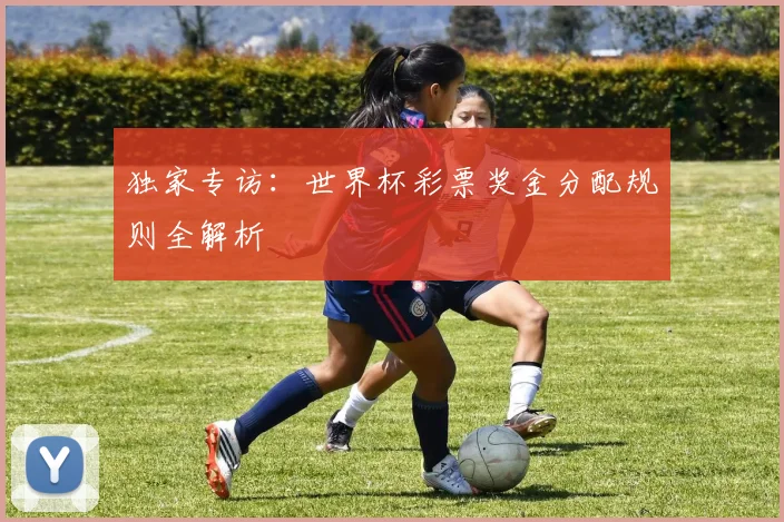 独家专访：世界杯彩票奖金分配规则全解析