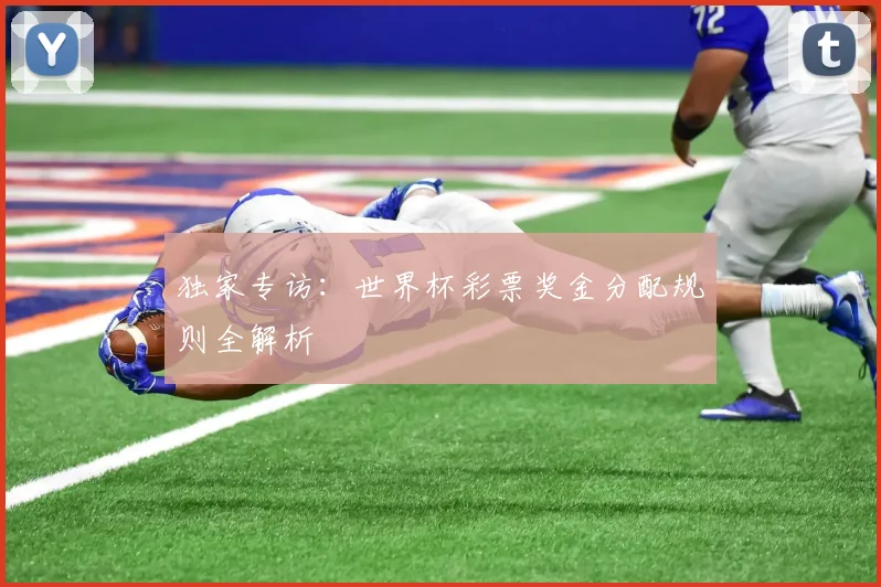 独家专访：世界杯彩票奖金分配规则全解析