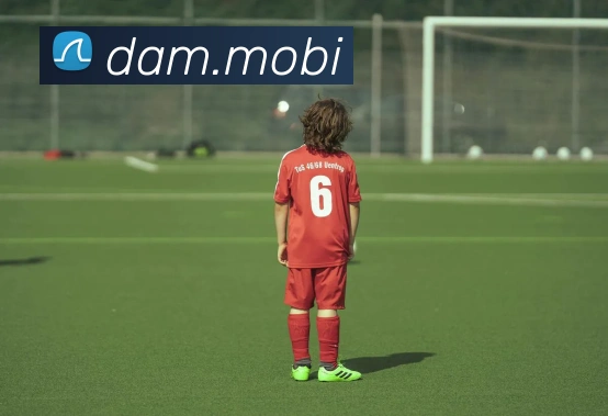 开云综合app官网登录平台生态图