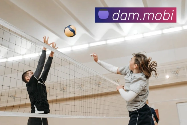 开云综合app官网登录全站App 开云综合app官网登录全站App